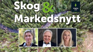 Skog amp Markedsnytt september 2024 [upl. by Gollin934]