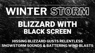 Hissing Blizzard Gusts amp Blustery Winter Storm  Relentless Snowstorm Sounds amp Battering Wind Blasts [upl. by Eicaj]