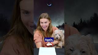 🐺 HOLLAND RODEN  Fievals Story  Lets Talk Dogs [upl. by Jary]