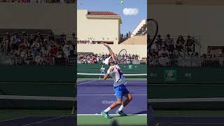 Novak Djokovic Serve  Slow Motion shorts [upl. by Madella757]