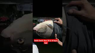 PELEPASAN IKAN J4CKPOT music song love lyrics motivasi katabijakmotivasihidup fishing [upl. by Taryne]