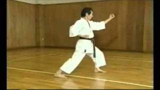 Ikeda Hoshu  Jyoshinmon karate kata Ananku [upl. by Aidni186]