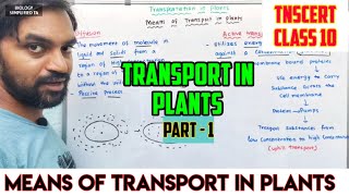 Transport in Plants  Part 1  Means of transport in plants  TNSCERT CLASS 10 [upl. by Nohsad]