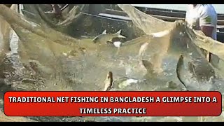 Traditional Net Fishing in Bangladesh A Glimpse into a Timeless Practice [upl. by Tseng]