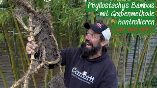 Phyllostachys Bambus mit Grabenmethode kontrollieren oder auch nicht [upl. by Warfold]