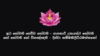 ධම්මපදය  යමක වර්‍ගය 115 [upl. by Norym]