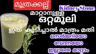 ഇനി ഡോക്ടറിന്റെ അടുത്ത് പോവേണ്ട മൂത്രക്കല്ല് സെർജറിയും വേദനയും ഇല്ലാതെ മാറ്റാം Kidney Stone [upl. by Henn]