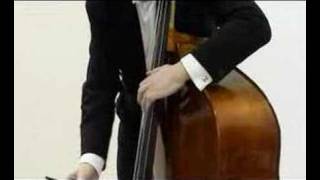 Furtok and Stähle playing Bottesini Gran Duetto No 2 Finale [upl. by Gagliano]