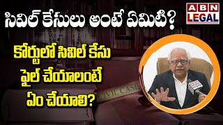 ABN Legal  High Court Advocate Koteswara Rao Explains CIVIL Cases in Telugu  What is CIVIL Case [upl. by Duile]