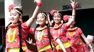 Nepali Cultural Dance lpresented by RK Production [upl. by Aroel]