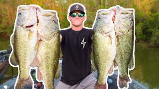 RECORD DAY OF BASS FISHING UNBELIEVABLE [upl. by Ness803]