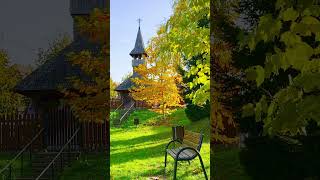 Beautiful autumn colors in the city park [upl. by Maura]