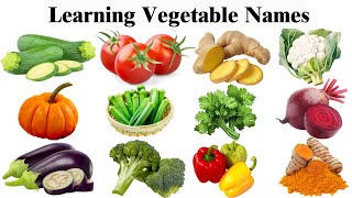 Vegetables name  vegetables name in english  Vegetables pictures  Name of vegetables in English [upl. by Dunn]