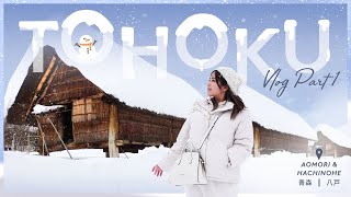 5 DAYS IN TOHOKU Vlog Part 1  Aomori  Hachinohe  Japan Winter Travel [upl. by Meta861]