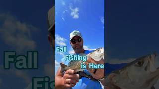 It’s time Go Fishing FallFishing fypシ゚viral shorts fish mississipi [upl. by Ariaec724]