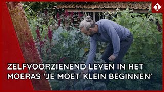 Zelfvoorzienend leven in Het Moeras Je moet klein beginnen [upl. by Aleunamme146]