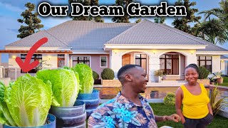 Wish we knew how to grow this cabbage earlier in our dream home Easily and with high yield [upl. by Yerffeg]