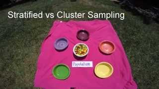 Stratified v Cluster Sampling [upl. by Nyladam160]