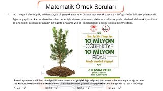 2019 LGS Aralık Ayı Örnek Sorular [upl. by Malha]