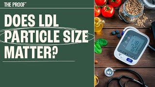 Does LDL particle size matter  The Proof with Simon Hill [upl. by Alethia323]