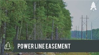 Wildernest Power Line Easement [upl. by Ecirtaed621]