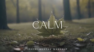 CALM  Soaking worship instrumental  Prayer and Devotional [upl. by Nyret]