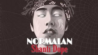 Shanti Dope  NORMALAN LYRICS [upl. by Ellevart]