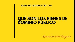 Qué son los BIENES de DOMINIO PÚBLICO [upl. by Ytsrik]