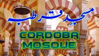 Masjid Qurtaba Spain Part 6 مسجدِ قرطبہ Travel Documentary in Urdu Hindi [upl. by Hcirteid81]