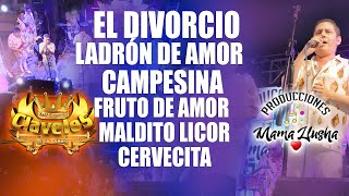 Los Claveles de la Cumbia ►El DivorcioLadrón de AmorCampesinaFruto d Amor►Mamallusha Producciones [upl. by Sanferd334]