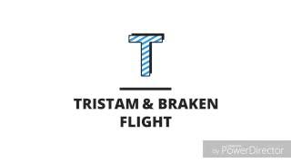 Tristam amp Braken  Flight no copyright [upl. by Yelats]