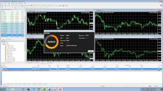 Binary Options MT4 [upl. by Howarth]