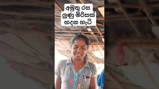 අමුතු රස ලුණු මිරිසක් හදන හැටි  Lunu miris travel cooking srilanka help motivational [upl. by Nniroc320]