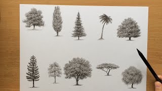 Drawing Trees With Charcoal Pencils [upl. by Aiyot]