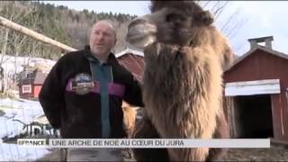 ANIMAUX  Une arche de Noé au coeur du Jura [upl. by Eidua259]