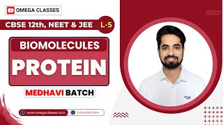 PROTEIN  AMINO ACID  BIOMOLECULES  BIOLOGY CLASS 11  CBSE NEET  OMEGA CLASSES [upl. by Anawk]