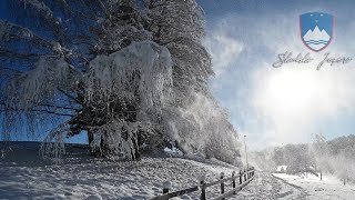 Škalsko Jezero  Velenje  Slovenia  Slovenija  Winter  2024 4K [upl. by Waynant]