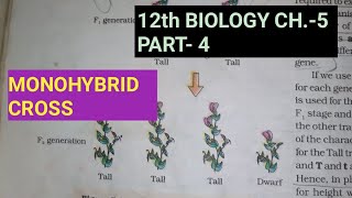 Class 12 biology chapter 5part 4inheritance of one geneby study with farru part3 [upl. by Nayrb]