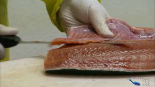 Farmed Salmon Unhealthy and Unsustainable [upl. by Yecnuahc]