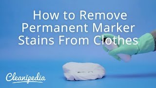 How to Remove Permanent Marker Stains From Clothes  Cleanipedia [upl. by Demetris]