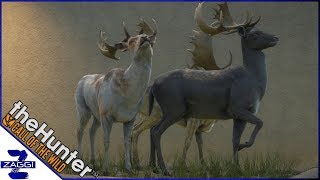 🦌theHunter Call of the Wild 240  MI PABELLÓN DE TROFEOS DE SASEKA SAFARI 1  Español [upl. by Norton]