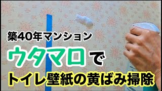 ウタマロクリーナーでトイレ壁紙の黄ばみ汚れ掃除尿はね築40年マンション [upl. by Dry]