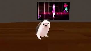 erizo bailando just dance [upl. by Nevets]