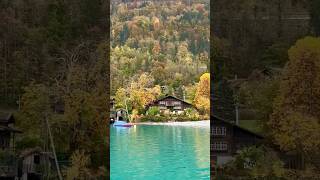 Ferry Ride to Iseltwald 🇨🇭 Part 2 iseltwald crashlandingonyou switzerland bestview [upl. by Kennet464]