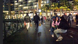 Circular Quay at Night A Beautiful Harbour Stroll [upl. by Keviv]