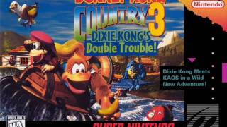 73  Donkey Kong Country 3  Rockface Rumble [upl. by Enelyad]