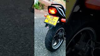 💥 Honda CBX 250 JADE Modified 💥 Bike Modified Sri Lakan Honda CBX 250 Bike Wathsapp sri Lakan cz [upl. by Anahsat]