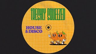 🍊 FRESHLY SQUEEZED 🍊 HOUSE amp DISCO MIX [upl. by Ahtrim217]