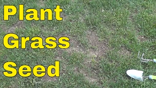 How To Plant Grass SeedFULL Tutorial [upl. by Elsbeth]