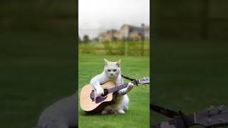 15 seconds of cat playing relaxing music with guitar [upl. by Ynej]